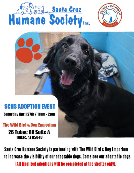Santa Cruz Humane Society Adoption Event