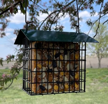 Green Double Suet Feeder with Roof