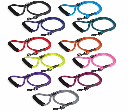 Nylon Dog Leash in Various Sizes & Colors