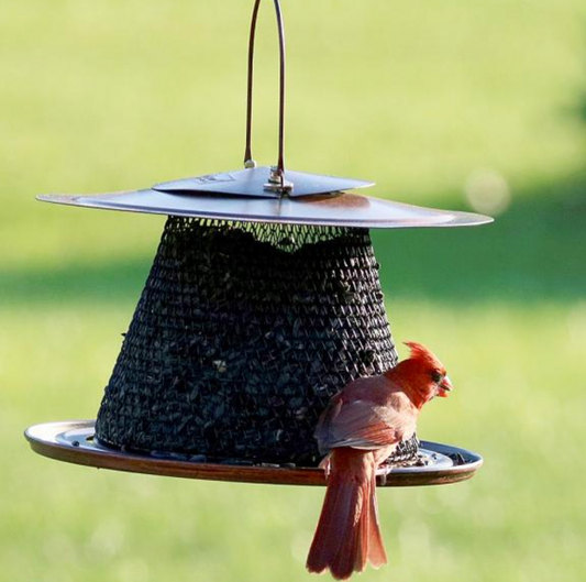 Collapsible Mesh Feeder