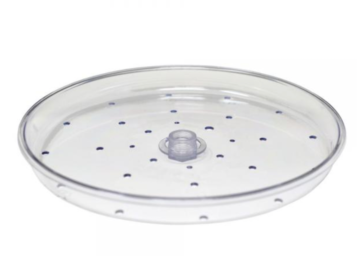 Clear 10" Seed Tray